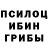 Псилоцибиновые грибы Cubensis josuegamer4