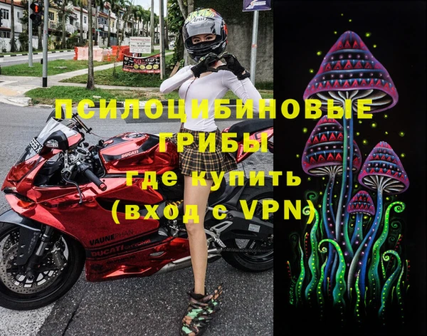 крисы Белокуриха