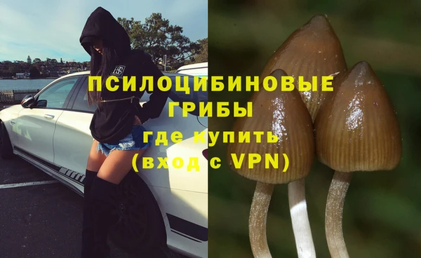 прущие крисы Баксан